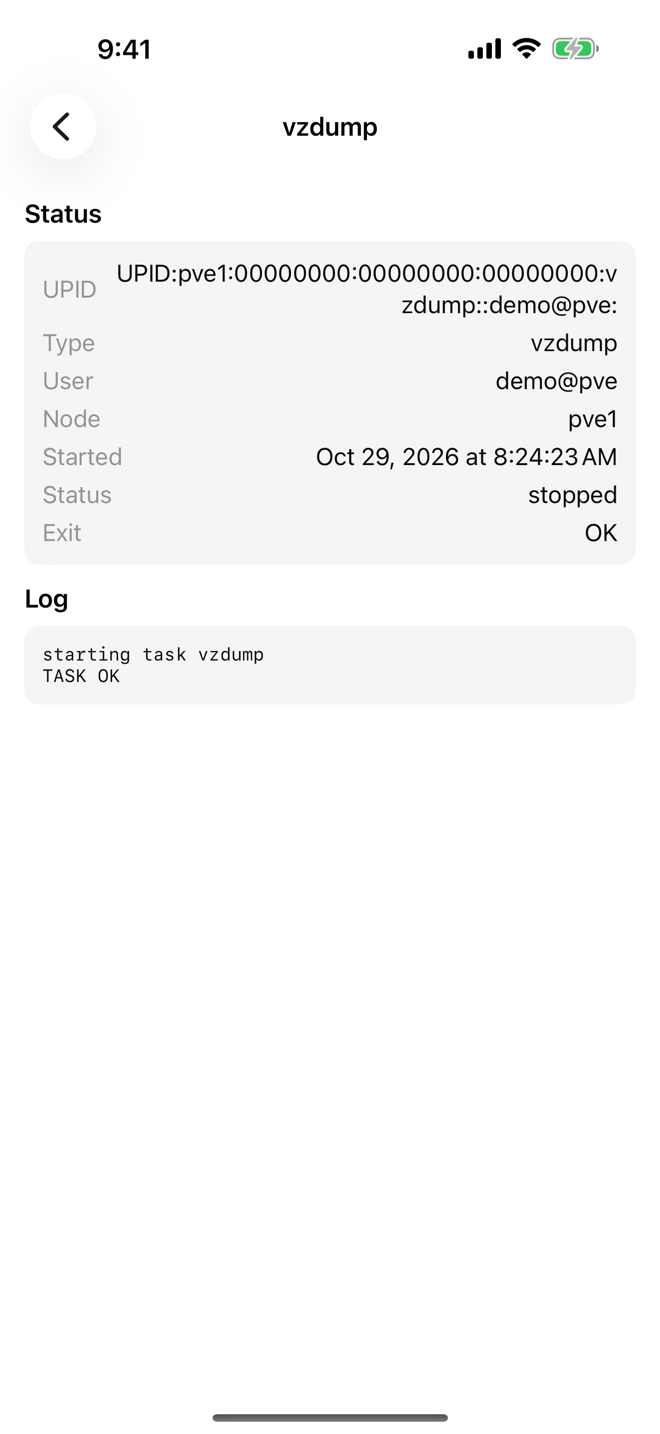 A task with its details and log