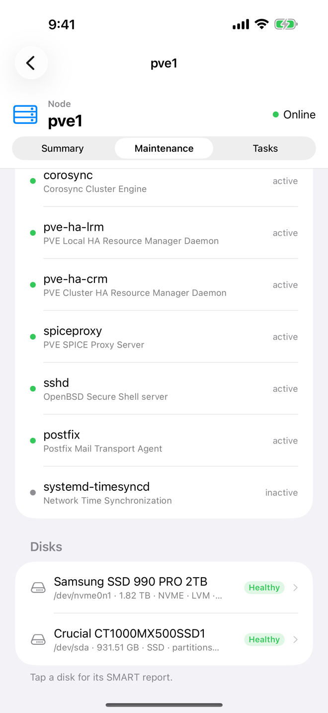 Disks of node pve1 with their SMART health, in the Maintenance tab